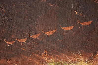 Colorado Rafting : Arizona : Arizona Landscapes : Landscape Photos : Richard Moore : Photographer